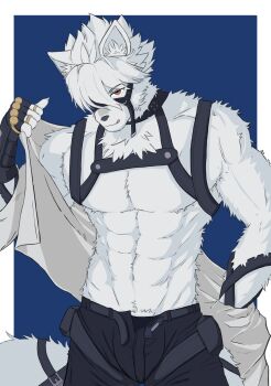 Abs Rule 34 Image