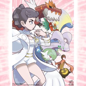 Diantha (Pokemon) Rule 34 Image