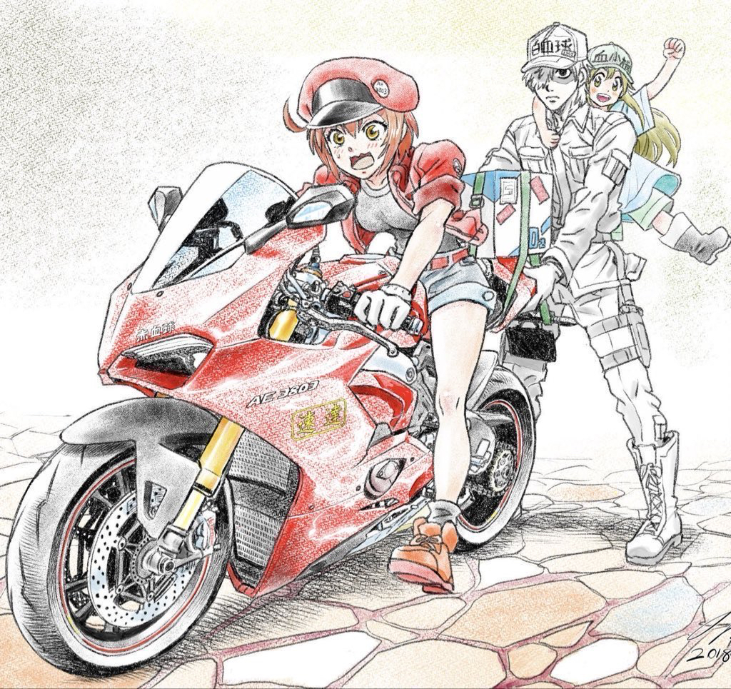 Ae-3803 (Hataraku Saibou) Rule 34 Image