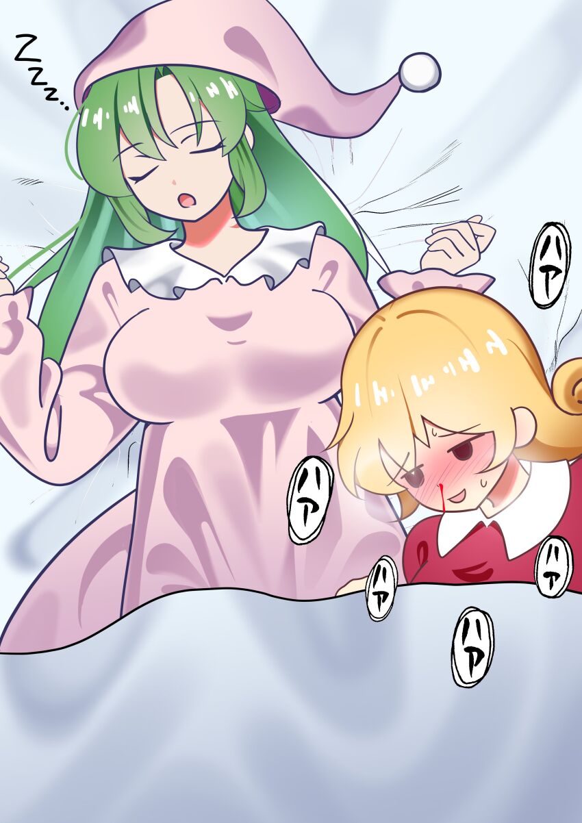 Elly (Touhou) Rule 34 Image