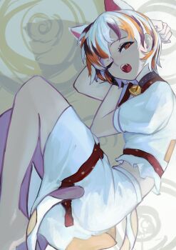 Calico (Pattern) Rule 34 Image