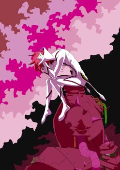 Casshern (Series) Rule 34 Image
