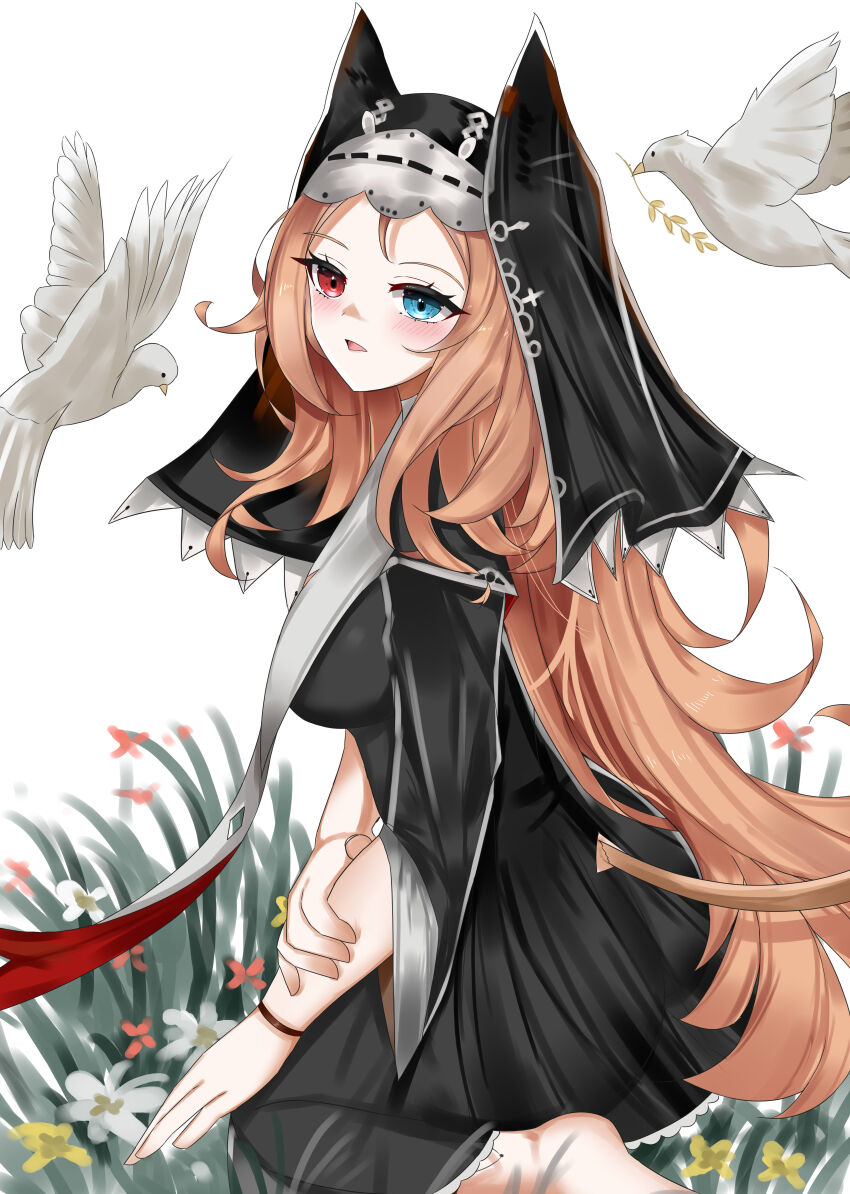 Archetto (Arknights) Rule 34 Image