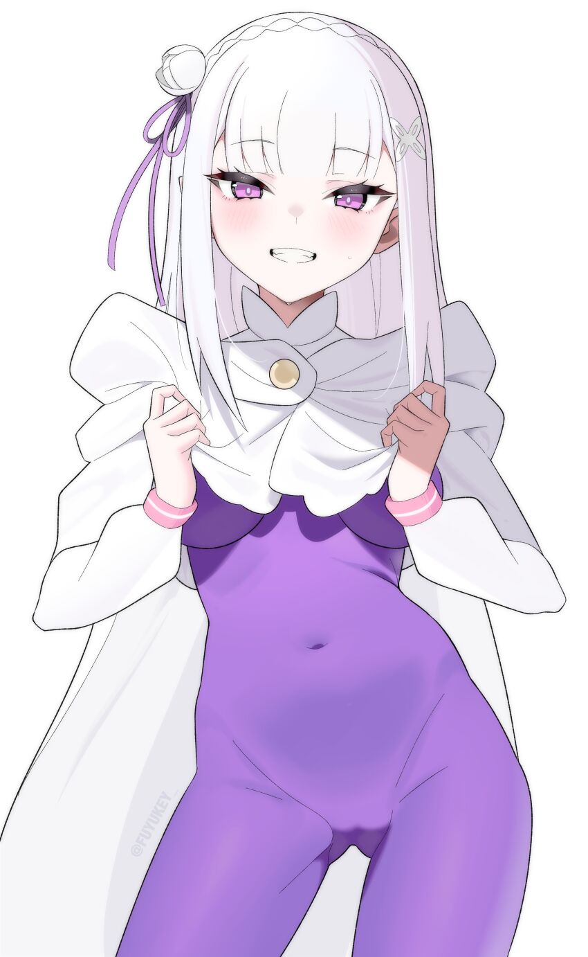 Emilia (Re:Zero) Rule 34 Image