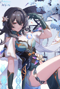 Honkai (Series) Rule 34 Image