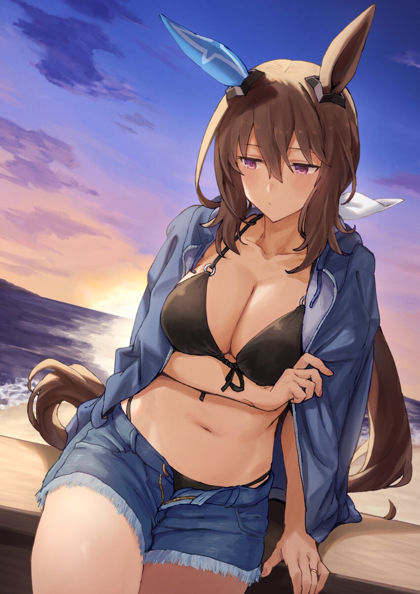 Admire Vega (Umamusume) Rule 34 Image