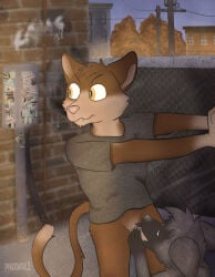 Alley Rule 34 Image