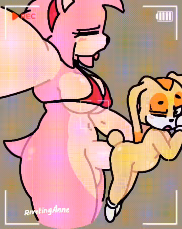 Sonic (Series) Rule 34 Image
