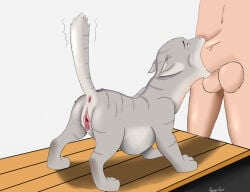 4 Toes Rule 34 Image