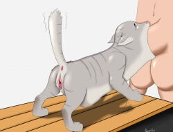 4 Toes Rule 34 Image
