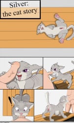4 Toes Rule 34 Image