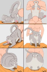 4 Toes Rule 34 Image