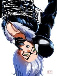 Black Cat (Marvel) Rule 34 Image