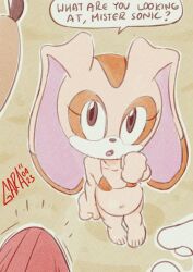 Mobian (Species) Rule 34 Image