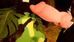 Turtle (Tophat Turtle) Rule 34 Image