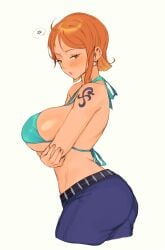 Nami (One Piece) Rule 34 Image