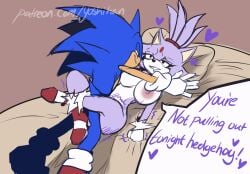 Sonic (Series) Rule 34 Image