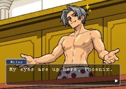Ace Attorney Rule 34 Image