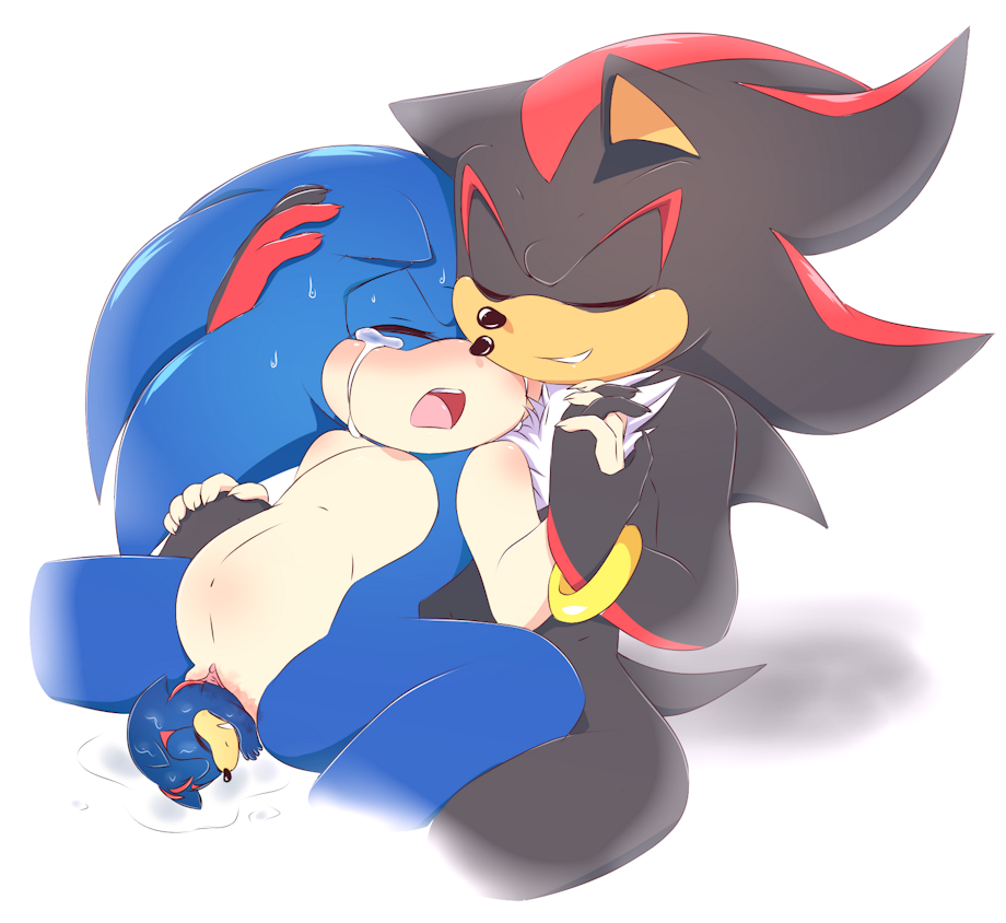 Shadow The Hedgehog (Sonic (Series)) Rule 34 Image