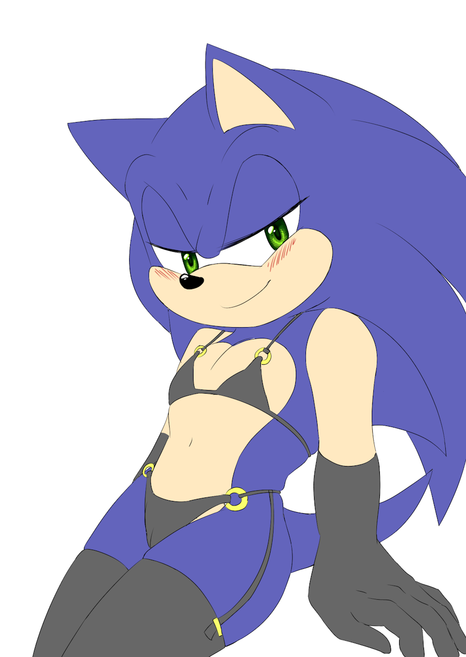 Sonic The Hedgehog (Sonic (Series)) Rule 34 Image