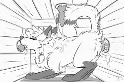 Animal Genitalia Rule 34 Image