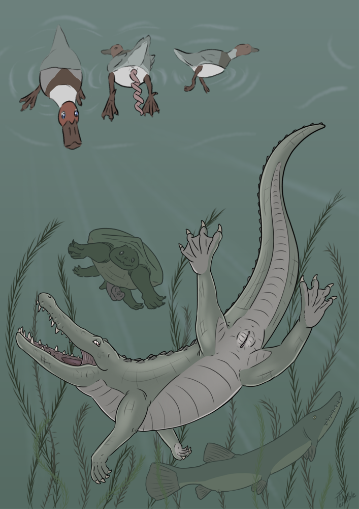 Alligator Rule 34 Image