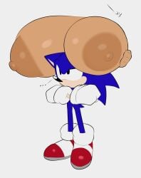 Sonic (Series) Rule 34 Image