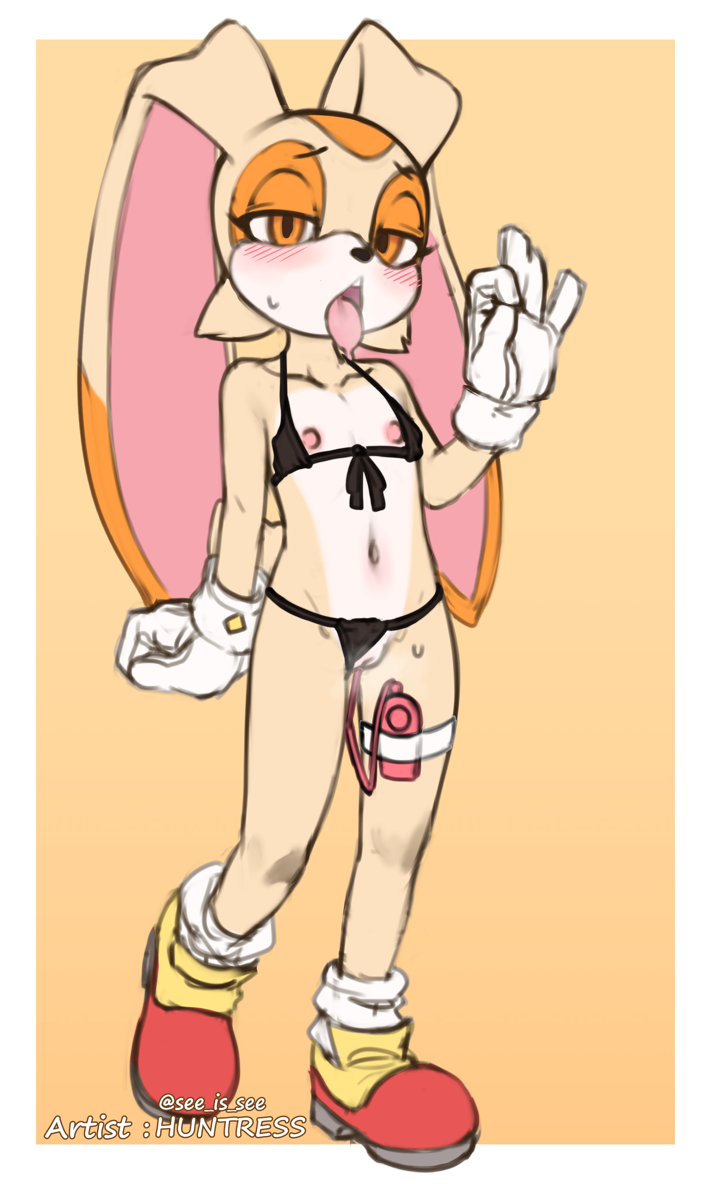 Cream The Rabbit (Sega) Rule 34 Image
