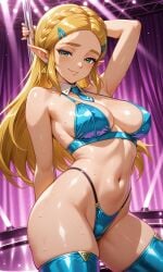 Zelda (Breath Of The Wild) Rule 34 Image