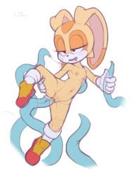 Mobian (Species) Rule 34 Image