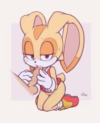 Sonic (Series) Rule 34 Image