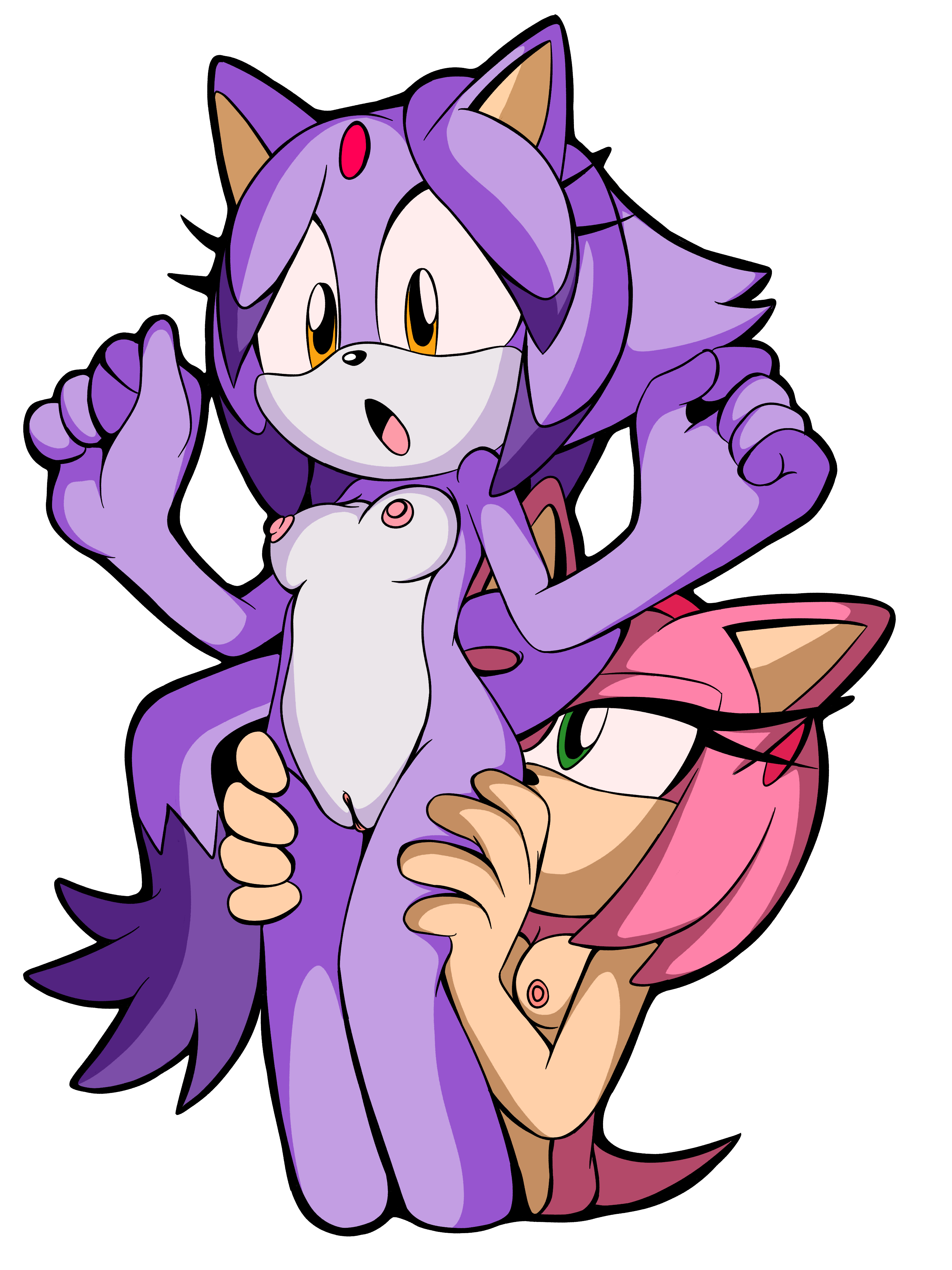 Amy Rose (Sonic (Series)) Rule 34 Image