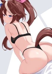 Tokai Teio (Umamusume) Rule 34 Image