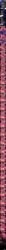 Altered Perception Rule 34 Image
