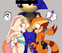 Sonic (Series) Rule 34 Image
