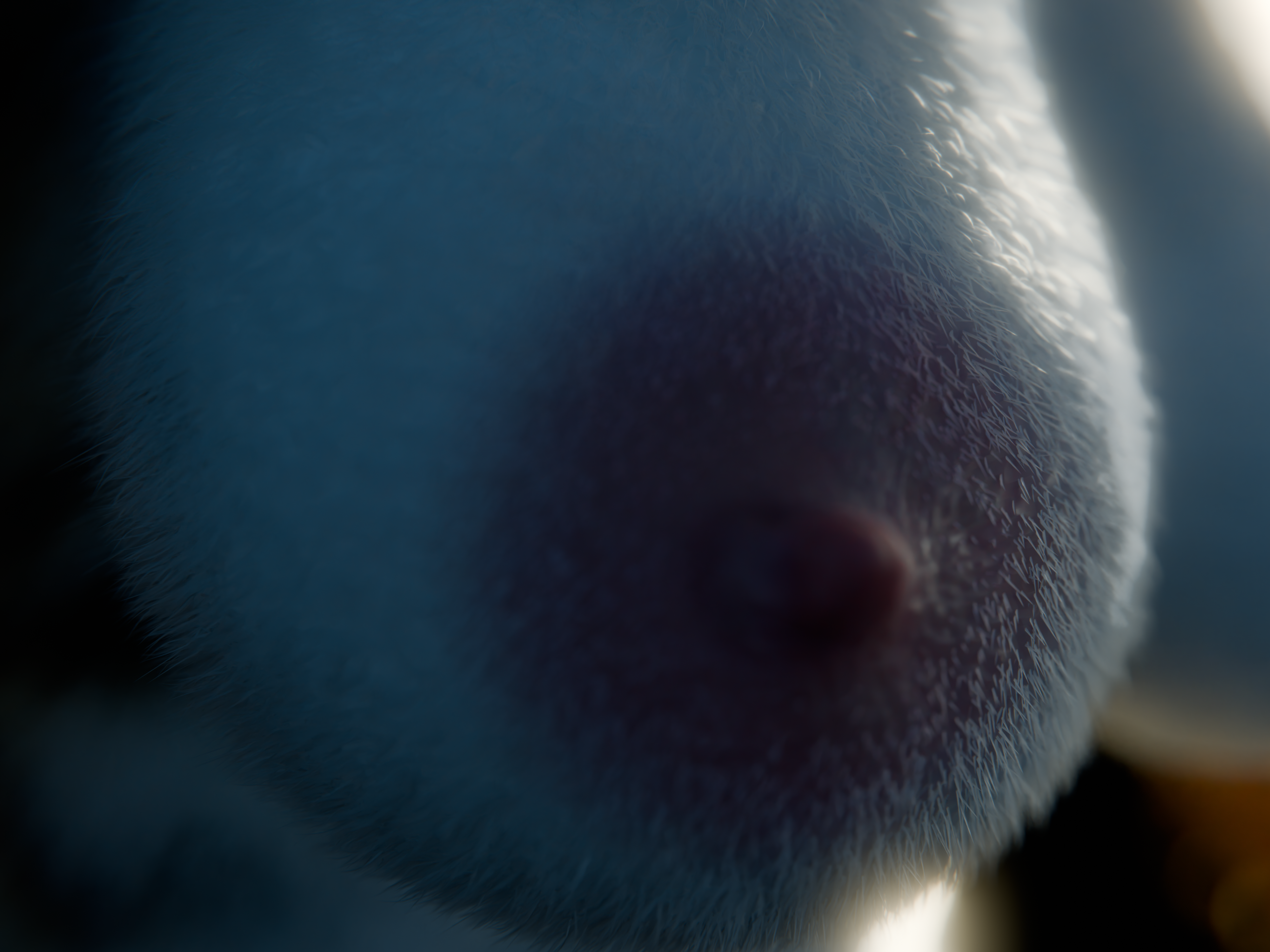 3d (Artwork) Rule 34 Image