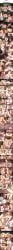Post 21148705440