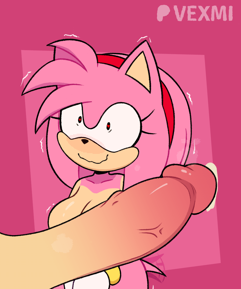 Amy Rose (Sonic (Series)) Rule 34 Image