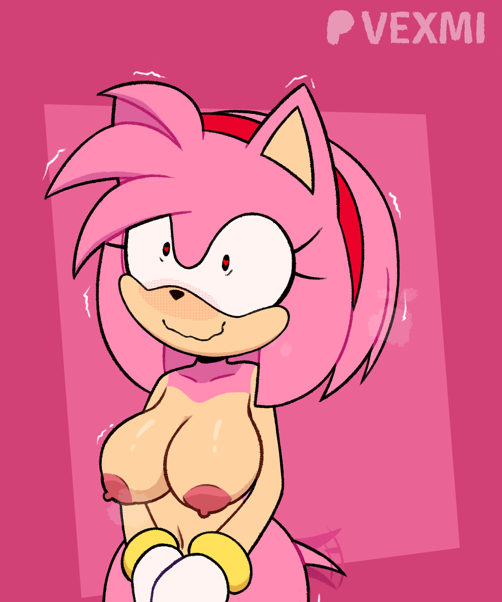Amy Rose (Sonic (Series)) Rule 34 Image