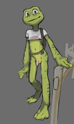 Frogger (Character) Rule 34 Image