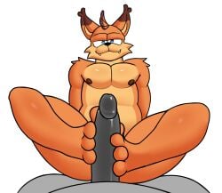Bubsy (Series) Rule 34 Image