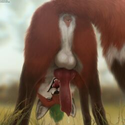 Lewis (Lewisfox) Rule 34 Image