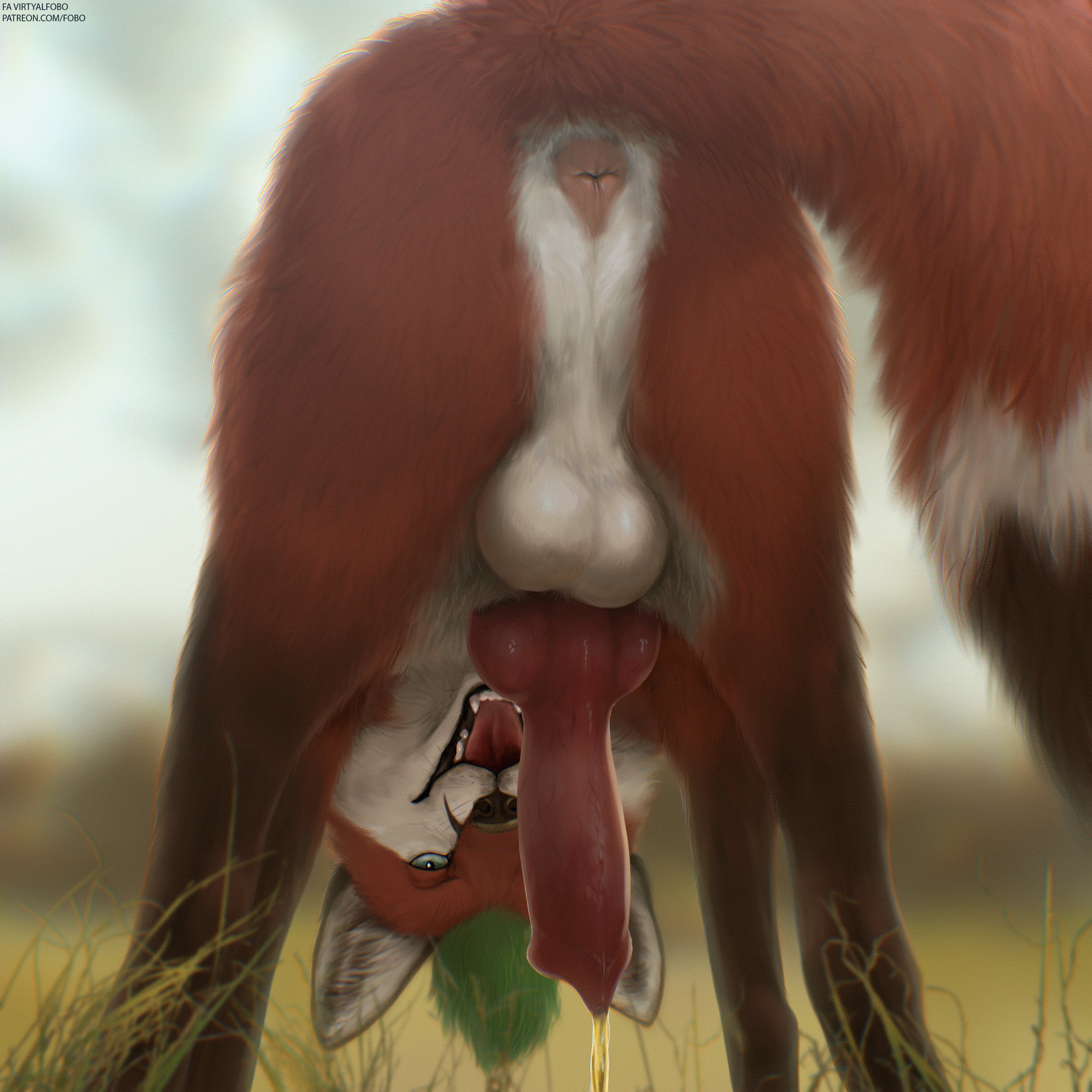 Lewis (Lewisfox) Rule 34 Image