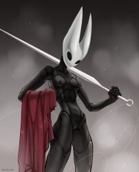 Hollow Knight (Franchise) Rule 34 Image