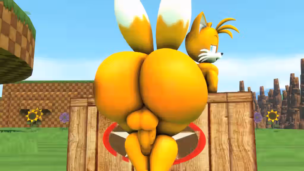 Sonic (Series) Rule 34 Video