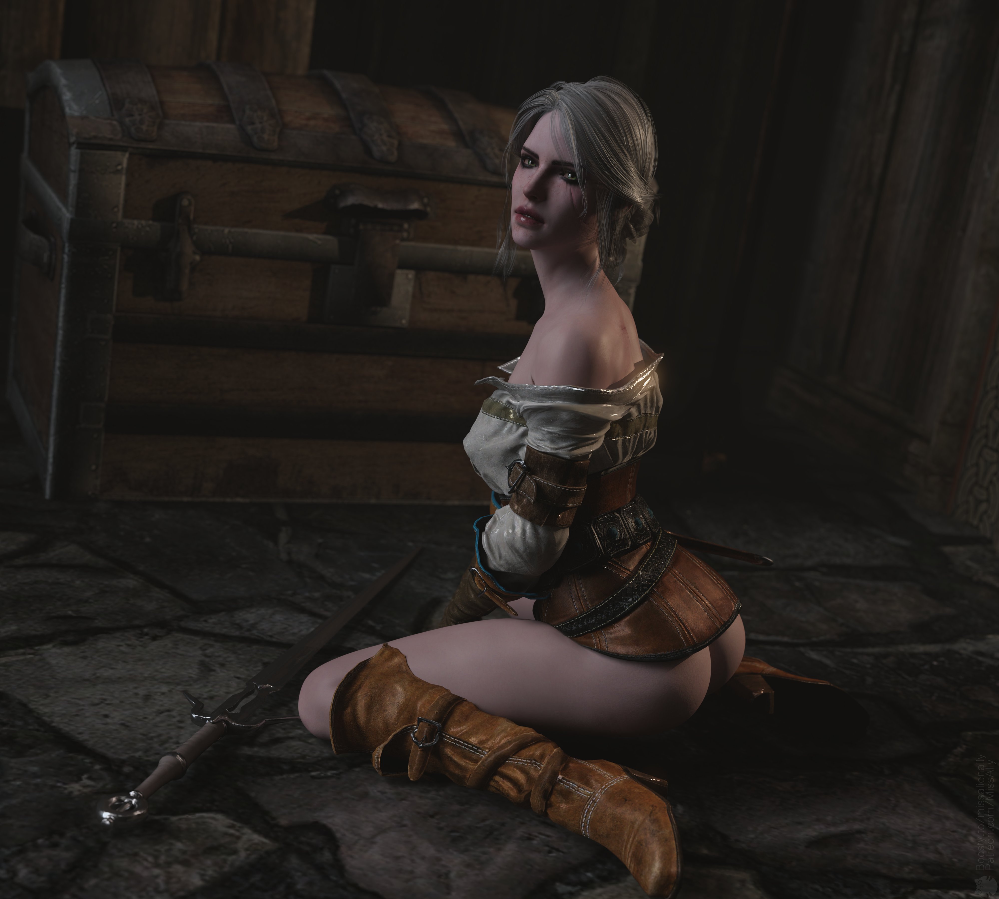 Ciri (Cd Projekt Red) Rule 34 Image