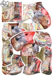 2008 Rule 34 Image