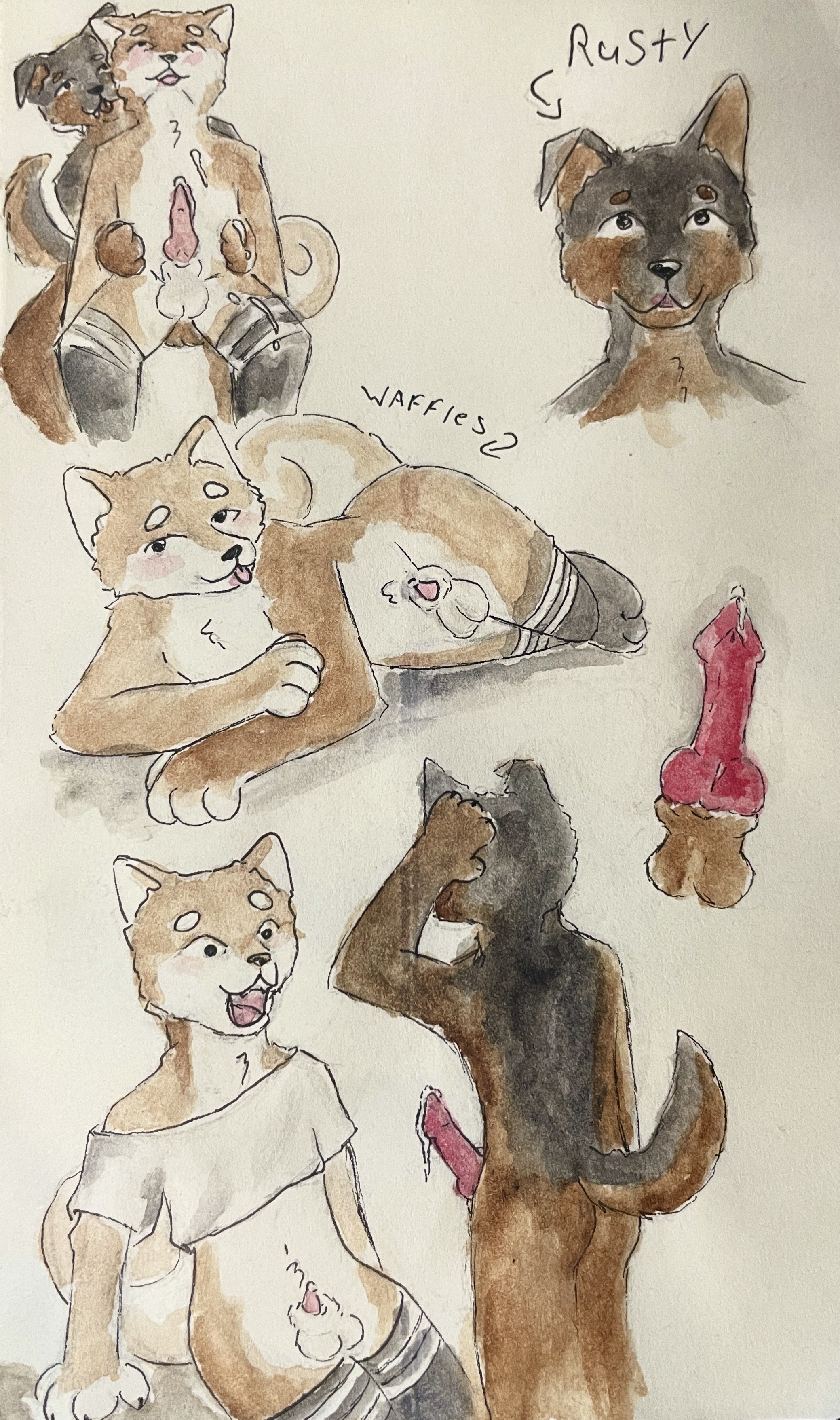 Rusty (Fred55576) Rule 34 Image