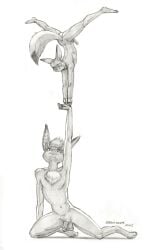 Hasim (Baron Engel) Rule 34 Image