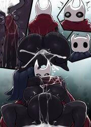 Hollow Knight (Franchise) Rule 34 Image